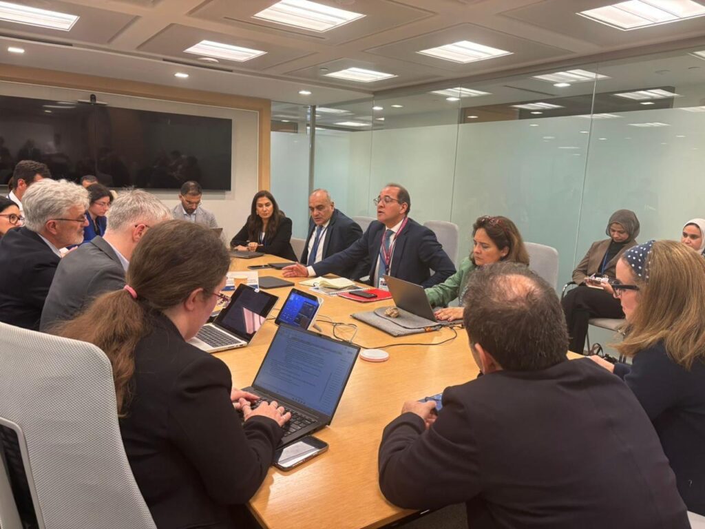 أحمد كجوك وزير المالية