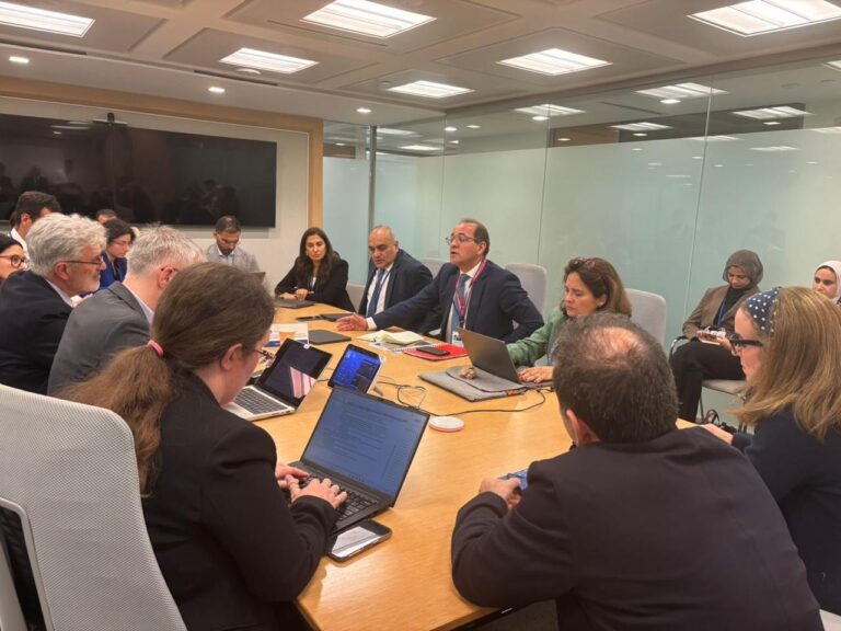 أحمد كجوك وزير المالية