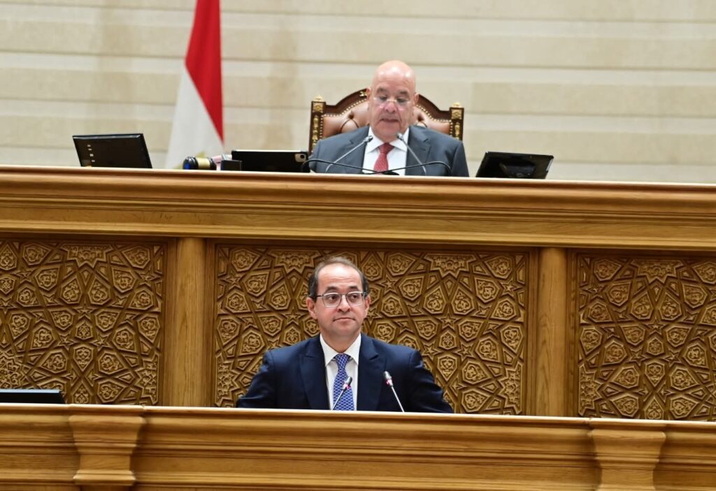 أحمد كجوك وزير المالية