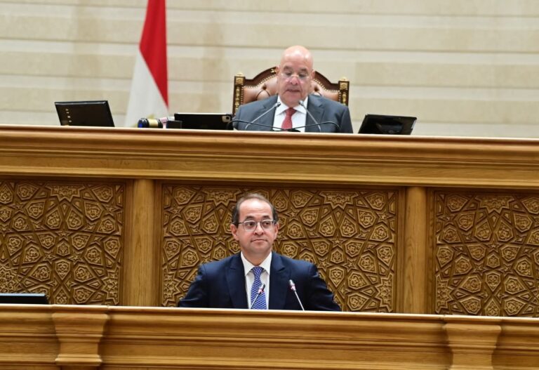 أحمد كجوك وزير المالية