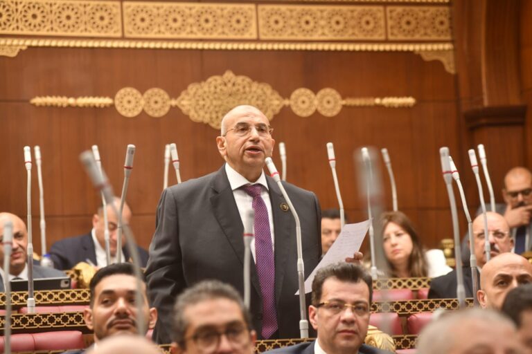 النائب أشرف عبدالغني