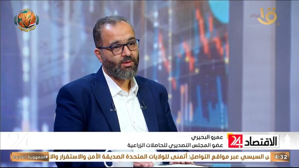 عمرو البحيري