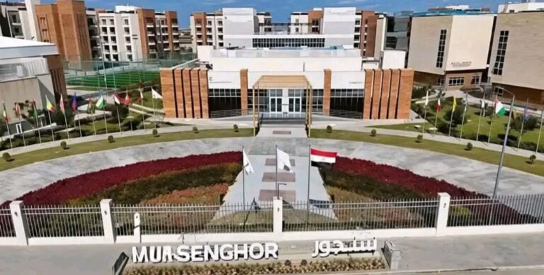 الجامعة الفرنسية في مصر
