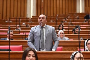 النائب حسام حسن