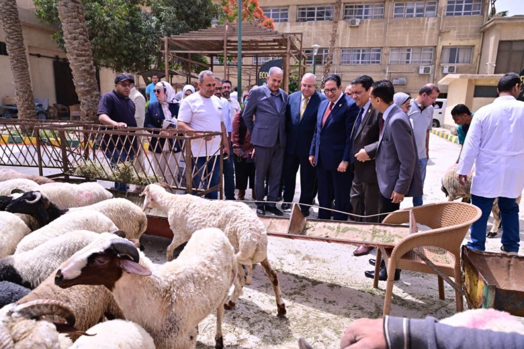 مركز أبحاث ورعاية العجول