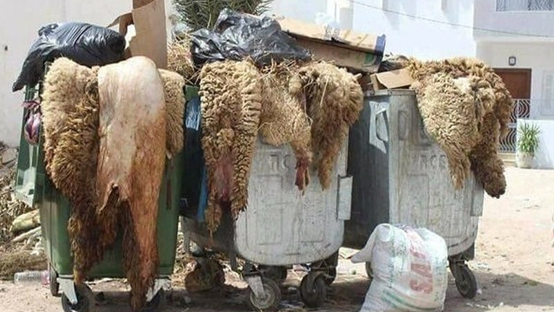 جلود الأضاحي