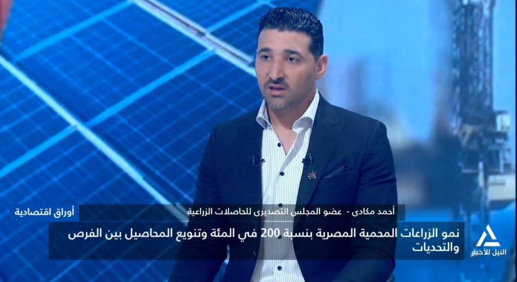 أحمد مكادي
