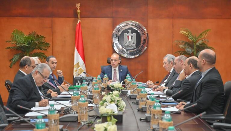 اجتماع وزير الاستثمار