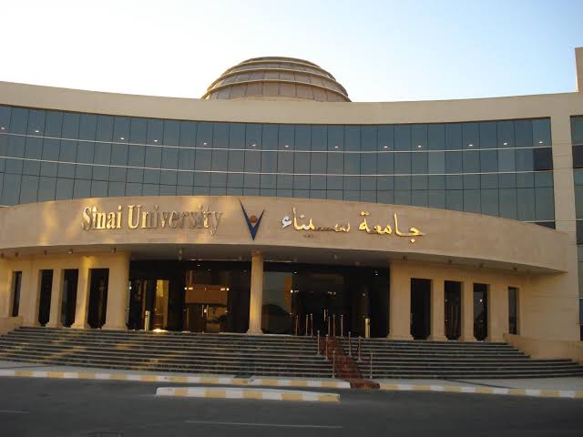 جامعة سيناء