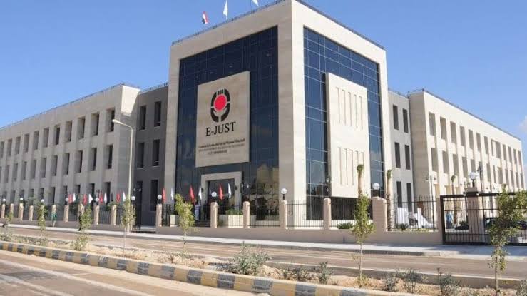 الجامعة المصرية اليابانية