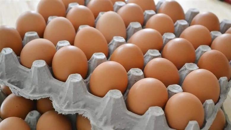 البيض