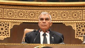 المستشار عصام الدين فريد