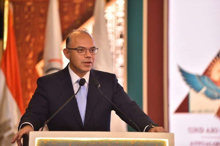 د. محمد فريد وزير الاستثمار