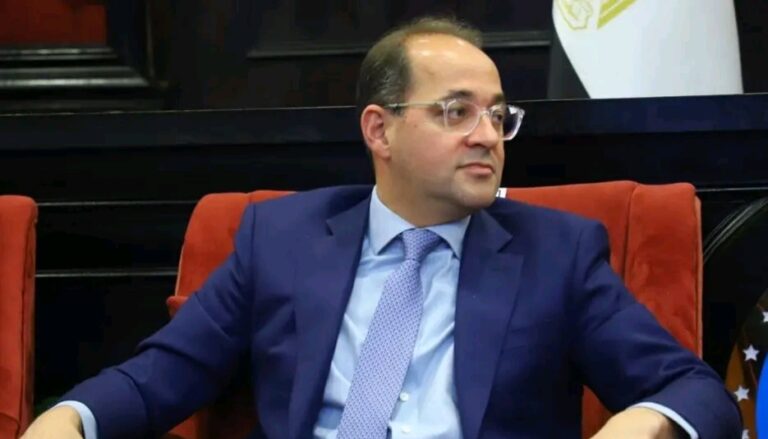 أحمد كجوك وزير المالية