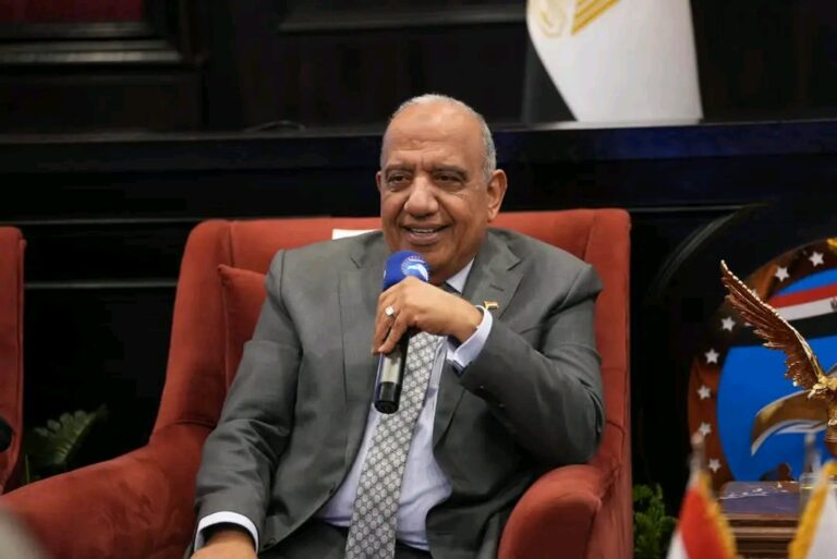 د. محمود عصمت وزير الكهرباء