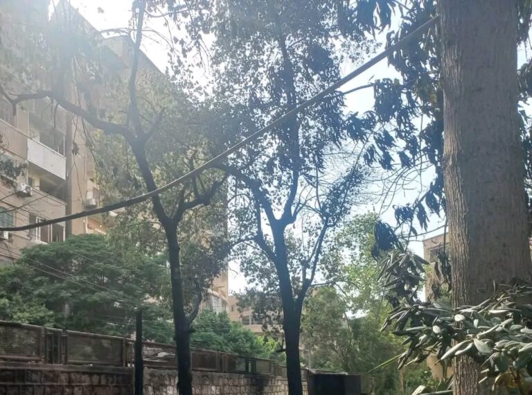 حريق جامعة عين شمس