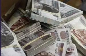 الأوراق المالية