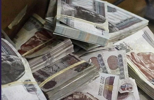 الأوراق المالية