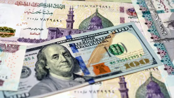 الدولار