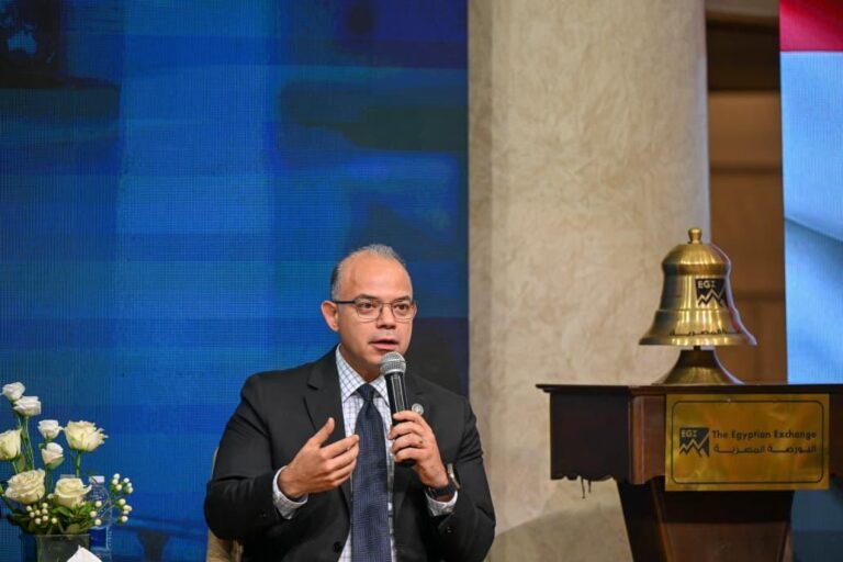 د. محمد فريد وزير الاستثمار