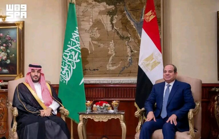 الرئيس السيسي - محمد بن سلمان
