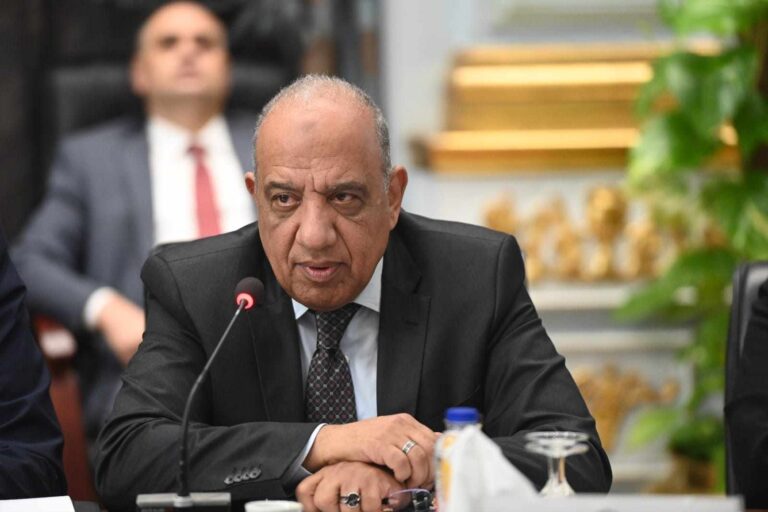 د. محمود عصمت وزير الكهرباء